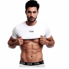 Maglia T-shirt Uomo cotone bielastico ICON Icon